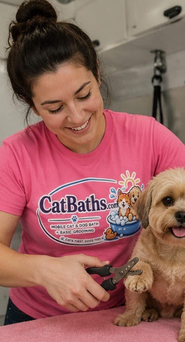 CatBaths.com technician trimming a small dog's nails on a soft towel